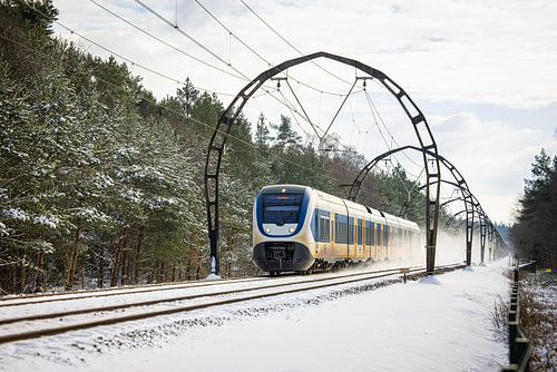 Een sprinter van de NS onder de 'Gotische bogen' met sneeuw van Stefan Verkerk fotografie