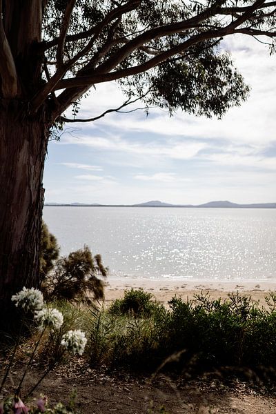 Ansicht Great Ocean Road, Australien von Meike Molenaar