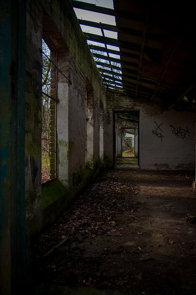 Vue à travers un bâtiment abandonné par Suzanne Schoepe