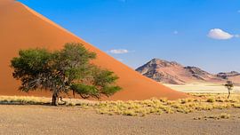Namibia by Denis Feiner