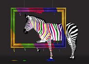 Zebra rainbow van Monika Jüngling thumbnail