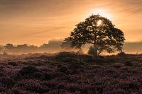 Sunrise Bakkeveen dunes