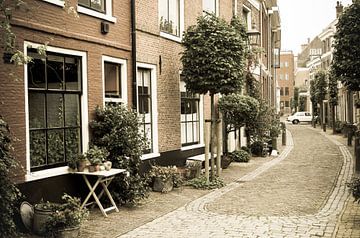 Oud straatje in Haarlem