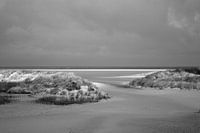 Beach and Dunes in Zeeland