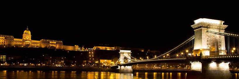 De Kettingbrug in Boedapest met het Koninklijk paleis von Willem Vernes