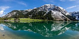Vilsalpsee panorama by Bart van Dinten