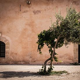 Le Maroc. Un monde complètement différent. sur Eddy Westdijk