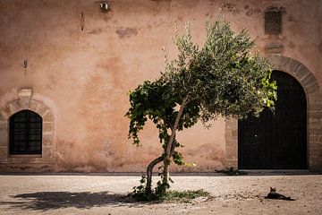 Le Maroc. Un monde complètement différent. sur Eddy Westdijk