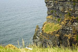 Cliff's of Moher - Irland