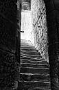 Weg naar het licht by Jelte Bosma thumbnail