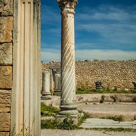 Doric column in Volubilis, Morocco by Patricia Hofmeester