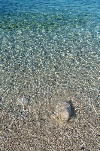 Zeewater, zachte golven en zonlicht