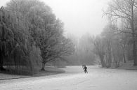Noorderplantsoen in de Winter 3 van Ronald Hulsebos thumbnail