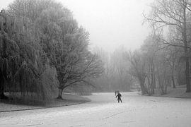 Noorderplantsoen en hiver 3 sur Ronald Hulsebos