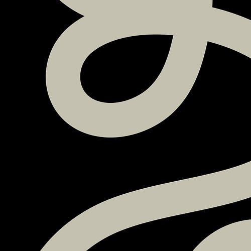 Abstract Organic Lines nr. 5