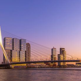 The Erasmus bridge in Rotterdam during the golden / blue hour in a colorful glow by Arjan Almekinders