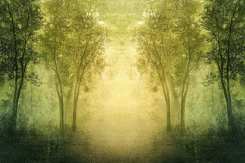 malerischer magischer Fantasiewald von Egon Zitter