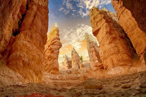 Rose Canyon