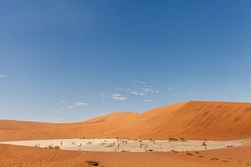 Landschap van Dode Vallei in Namibië van Simone Janssen