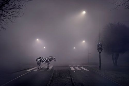 Unieke Beeldmanipulatie: Zebra op Zebrapad in Mistige Avondsfeer - Intrigerende Wanddecoratie
