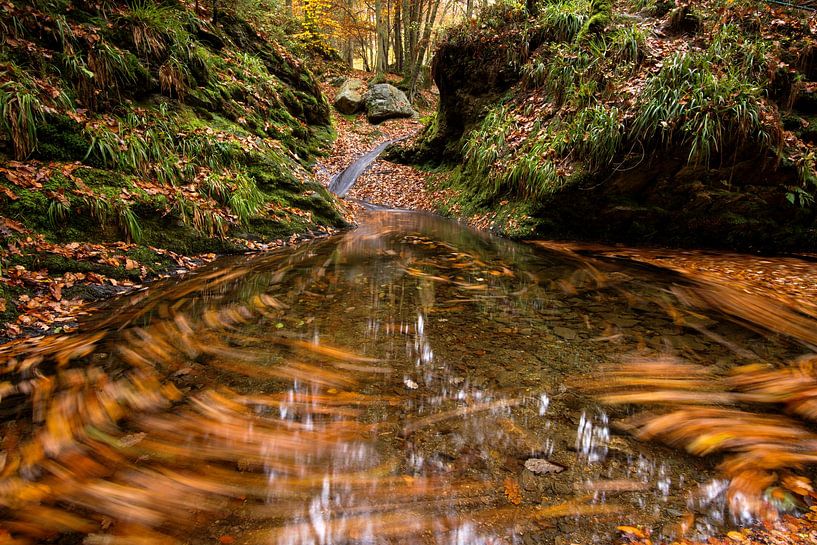 Ninlingspo in de herfst van Jarno van Bussel