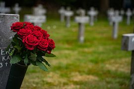 Roses on a cross in war cemetery by Suzanne Schoepe