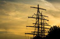 Sail Amsterdam avec le coucher du soleil   sur Ton de Koning Aperçu