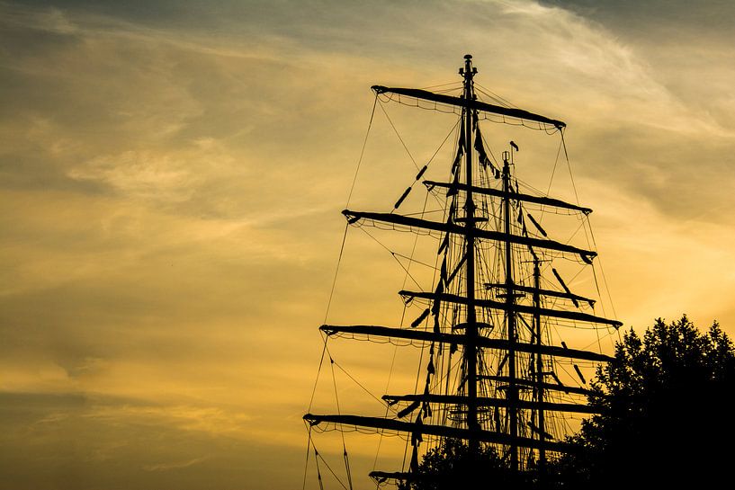 Tall Ship in goud Sail Amsterdam van Ton de Koning