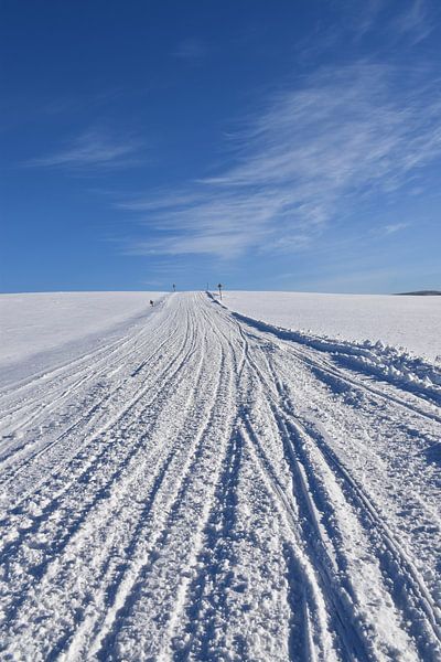 A snowmobile trail in a field by Claude Laprise