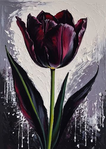 Queen of Night Tulip