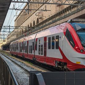Een reizigerstrein stopte op het Roma-treinstation in Rome - Italië van Castro Sanderson