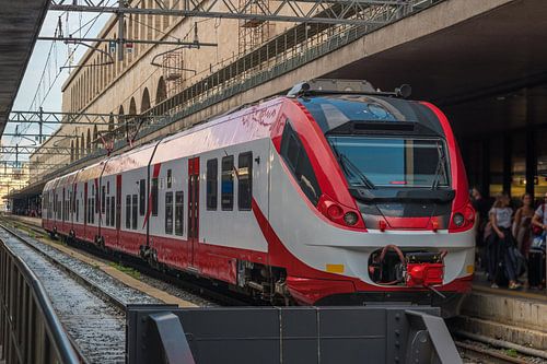 Een reizigerstrein stopte op het Roma-treinstation in Rome - Italië van Castro Sanderson