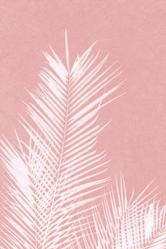 Palmbladeren op roze silhouet II van amini54