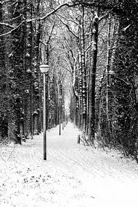 Winters beeld (2) - 2015