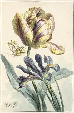 Tulip and iris, Willem van Leen