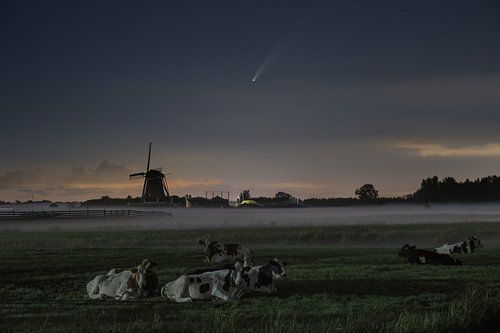 Moulin à quatre plats, vaches et comète Neowise
