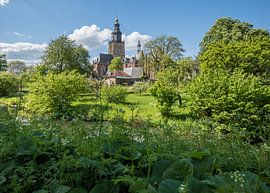 Walburgiskerk in Zutphen van Mike van Rest