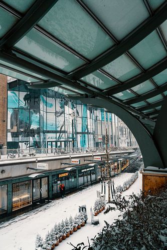 Das Koopgoot im Schnee