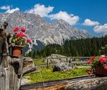 Alpenlandschap van Peter Leenen thumbnail