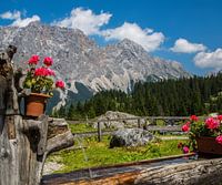 Alpine scenery