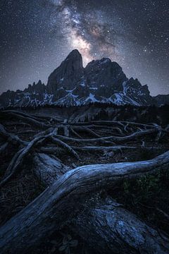Die Milchstraße über den Dolomiten am Würzjoch von Daniel Gastager
