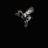'Fly on the wall' vliegende kip zwart wit van Lotje van der Bie Fotografie