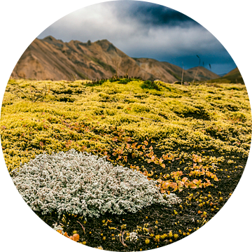 Landmannalaugar kleurrijke bergen in IJsland