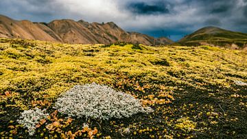 Landmannalaugar kleurrijke bergen in IJsland van Sjoerd van der Wal