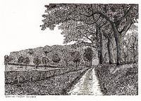 sfeertekening, waar je elke dag wil wandelen