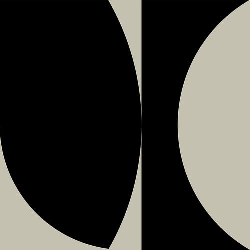 Zwarte Abstracte Geometrische Vormen nr. 3