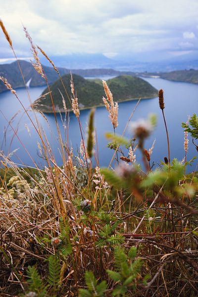 Laguna Quicocha Ecuador von Julie Van De Velde
