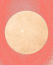 Mond in Sanftem Licht in Naturfarben von Mad Dog Art Miniaturansicht