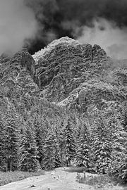 Fresh snow B&W by Denis Feiner