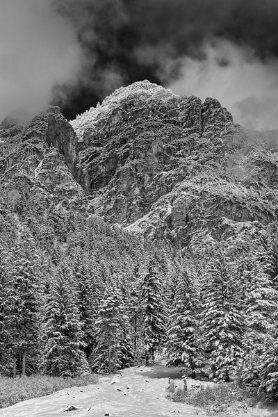 Neige fraîche B&amp;W par Denis Feiner
